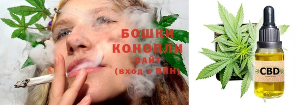 ГАЛЛЮЦИНОГЕННЫЕ ГРИБЫ Осташков
