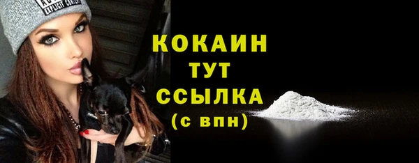 ГАЛЛЮЦИНОГЕННЫЕ ГРИБЫ Осташков