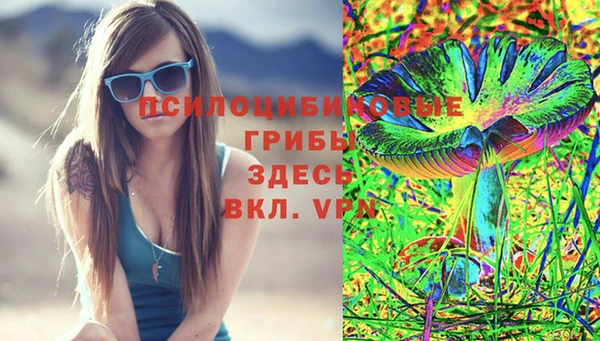 PSILOCYBIN Остров