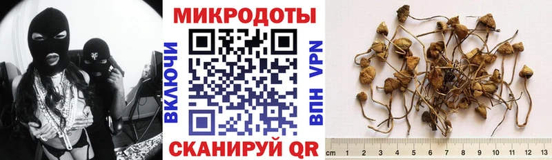 Галлюциногенные грибы Psilocybe как найти закладки нарко площадка официальный сайт Ртищево