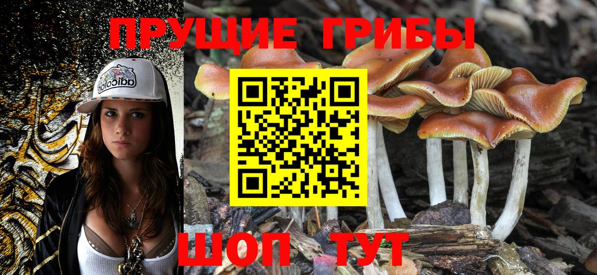 Галлюциногенные грибы мухоморы  Вход с VPN  Ртищево 