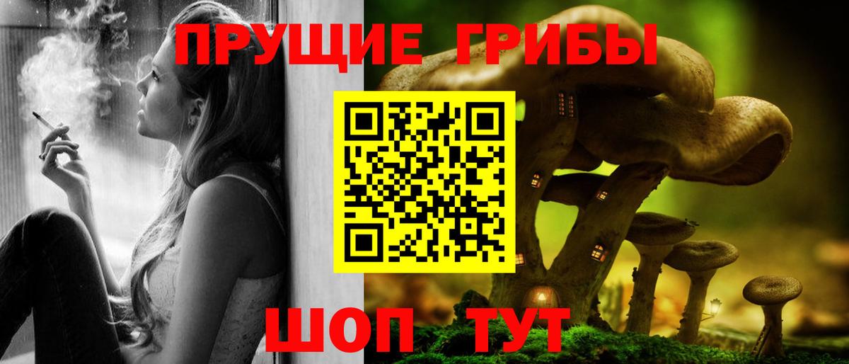 Псилоцибиновые грибы Psilocybine cubensis Ртищево